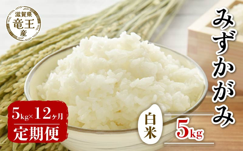 
                  【新米 先行予約】 新米 令和8年産米 みずかがみ 白米 5kg 定期便 12ヶ月 みずかがみ 定期 12か月  5kg × 12回 計 60kg 米 滋賀県 竜王町 国産 農家直送 特別栽培米 ミズカガミ  2026年産 国産 農家直送 環境こだわり お米 こめ おこめ 産地直送 送料無料 滋賀県 竜王町 ふるさと納税
                
