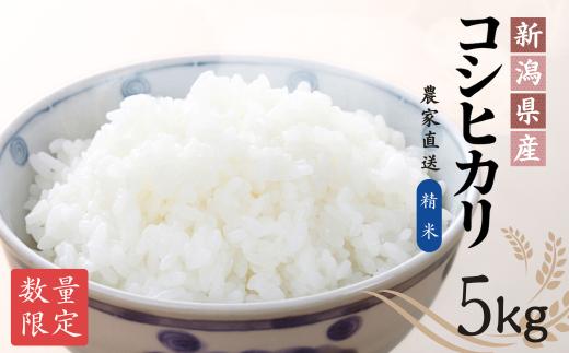 【農家直送】 令和7年産新米 出雲崎町産コシヒカリ（５kg）直播栽培 お米 新潟県産コシヒカリ こしひかり おこめ コメ 白米 精米