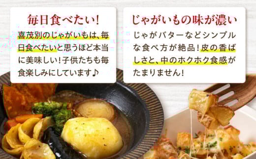 じゃがいも ジャガイモ 新じゃが 10kg キタアカリ 旬 イモ 野菜 期間限定