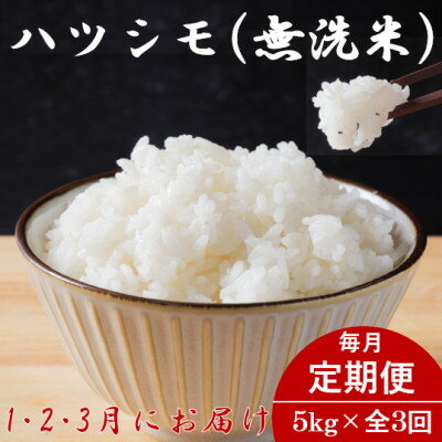 【ふるさと納税】【発送月固定定期便】生産者応援!岐阜県産ハツシモ(無洗米)5kg【1・2・3月発送】全3回【配送不可地域：離島】【4073731】