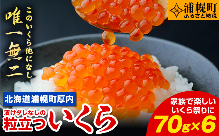 
            【新物★先行予約】いくら 70g×6パック 漬けダレなしの粒立ついくら 【2024年11月頃より順次出荷】 国産 便利小分け 簡単いくら丼 山本商店【北海道十勝浦幌町厚内産】
          