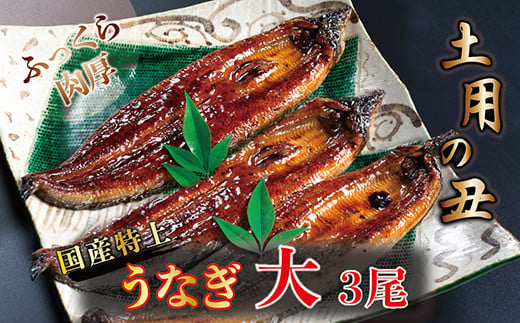 
国産！特上うなぎのかば焼き 約200g × 3尾
