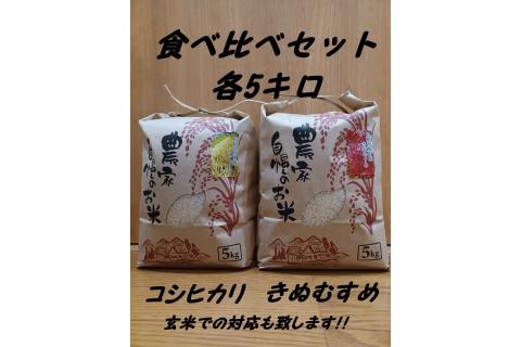 【令和7年度産】旭町産コシヒカリ・きぬむすめ　食べ比べセット　各5キロ＜2025年10月末より発送予定＞ 米 お米 こしひかり きぬむすめ 食べ比べ セット 農家直送 精米 白米 【166_1760】