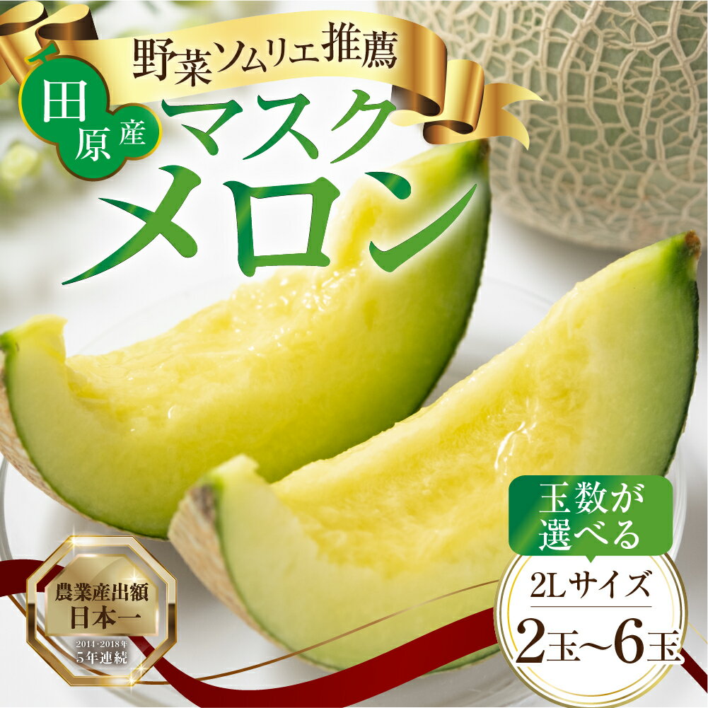 【ふるさと納税】 渥美半島 マスクメロン 高評価★4.7 / 先行予約 / 選べる玉数 2玉 3玉 5玉 6玉 2L～3L サイズ メロン 発送時期が選べる カラーギフト箱入り 大玉 めろん フルーツ 秀品 愛知県 田原市 伊良湖産 ギフト プレゼント 人気