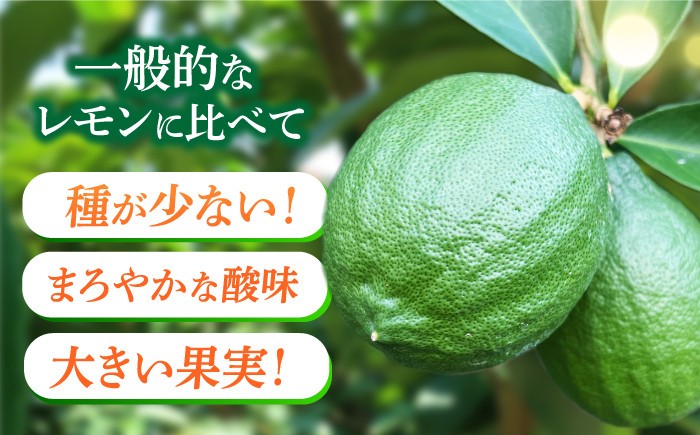 【長崎県長与町産】璃の香 （ りのか ） 約3kg レモン