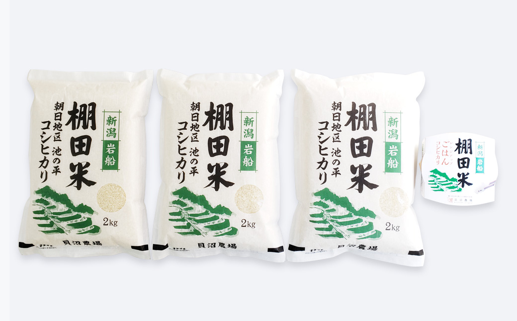 【新米受付・令和7年産米】【定期便：5ヶ月連続でお届け】新潟県村上市岩船産 棚田米コシヒカリ 6kg（2kg×3袋）+パックごはん(150g×1個) ×5ヶ月 1067114N