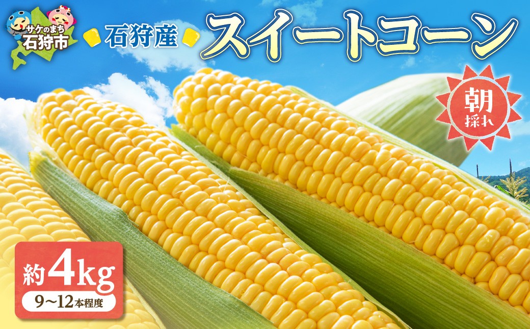 
                  石狩産 スイートコーンとうもろこし（4.0kg以上 約9～12本）｜ふるさと納税 北海道 石狩市 トウモロコシ とうきび トウキビ 恵みゴールド めぐみゴールド コーン イエローコーン 旬 旬の野菜 高糖度 甘い 人気 美味しい 北海道産 北海道直送スイーツ めぐみシリーズ
                