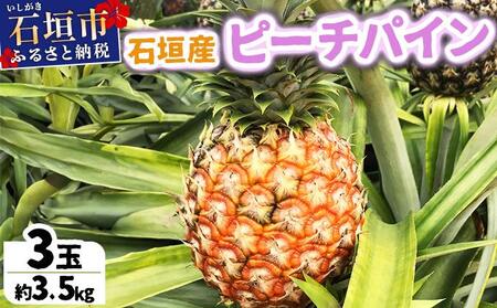 石垣島産 ピーチパイン 3個 約3kg