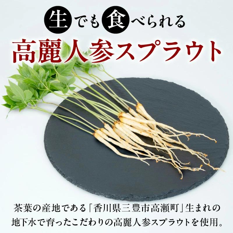 M145-0004_【ふるさと納税】高麗人参スプラウトをまるごと漬け込んだ醤油と米酢セット 高麗人参 高麗 人参 スプラウト 漬け込み 醤油 米酢 酢 調味料 調味 ドレッシング 炒め物 料理 普段使