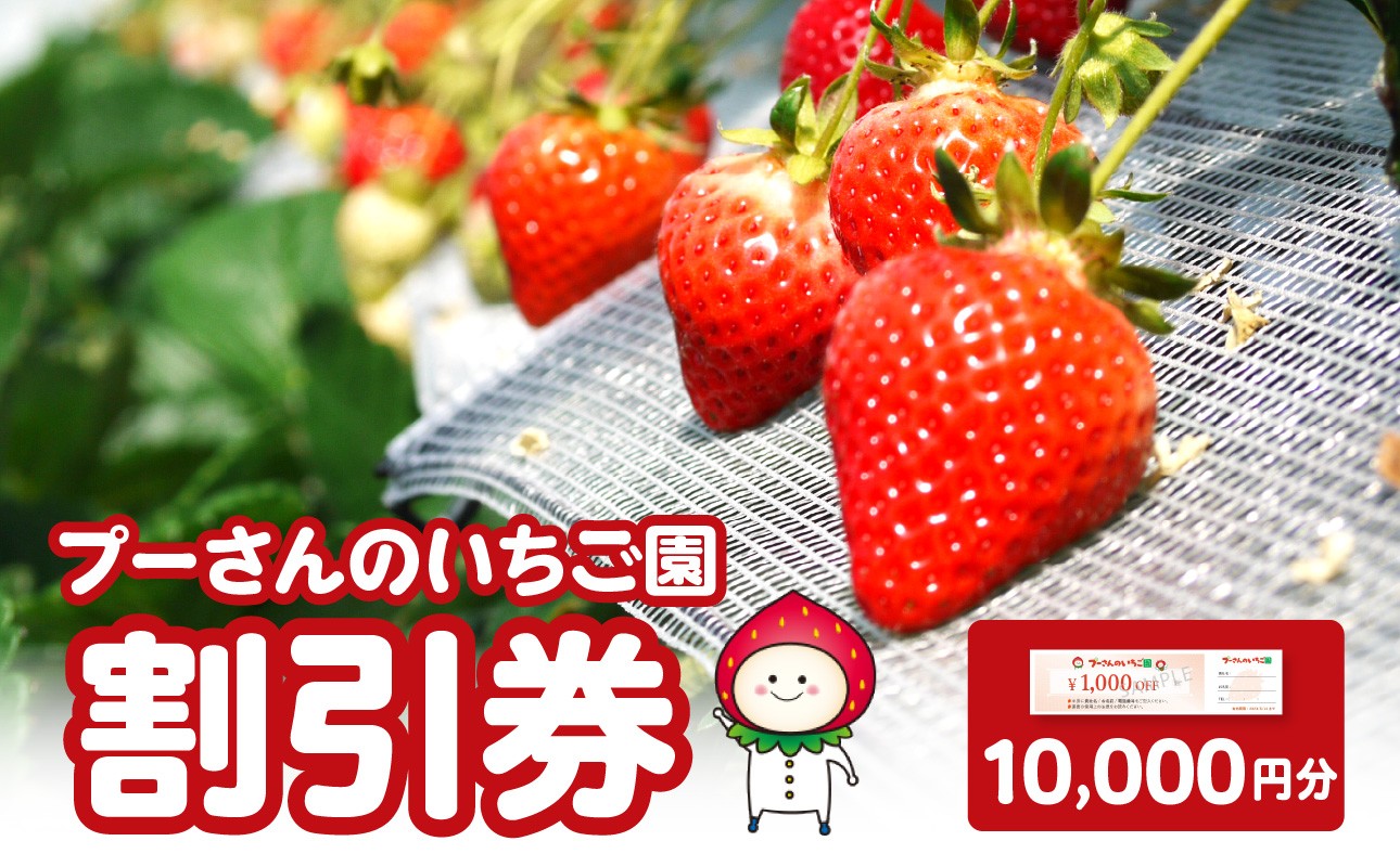 
                  プーさんのいちご園　割引券（10,000円分）【レターパック】 イチゴ狩り あまおう 恋みのり 紅ほっぺ さがほのか かおり野 おいCベリー あまえくぼ よつぼし 高設栽培 多段式 バリアフリー 車椅子 子供 品種 完熟 摘みたて 新鮮 家族 清潔 福岡県 八女市
                