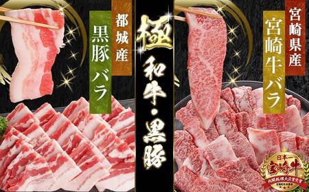 宮崎牛&黒豚バラ焼肉セット(合計1kg)_AC-N405_(都城市) 宮崎県産宮崎牛 都城産黒豚  バラ焼肉用 各500g×1P セット 焼肉用カット 焼肉 BBQ 冷凍
