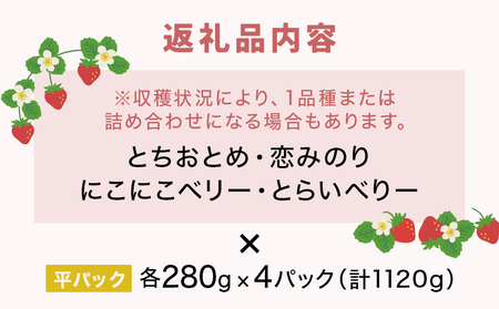 【2026年1月中旬発送開始】 いちご とちおとめ 恋みのり にこにこベリー とらいべりー 280g × 4  平パック 苺 イチゴ フルーツ 果物 ストロベリー ベリー デザート 甘み 酸味 宮城県