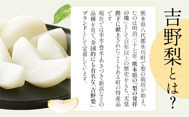 【2026年先行予約】熊本県氷川町産 吉野梨 品種おまかせ 約3kg (2～16玉前後) 《8月上旬-9月末頃出荷》---hkw_lcl_324_3kg---