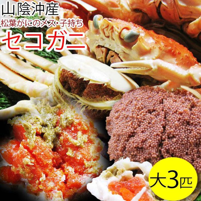 【ふるさと納税】セコガニ 訳あり (茹で) 大 3枚セット 鳥取県産【フォーシーズン】 | 鳥取 蟹 かに 親ガニ 期間限定 送料無料
