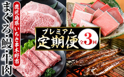 【3ヶ月定期便】いちき串木野プレミアム定期便（マグロ・鰻・牛肉）【PT-003H】