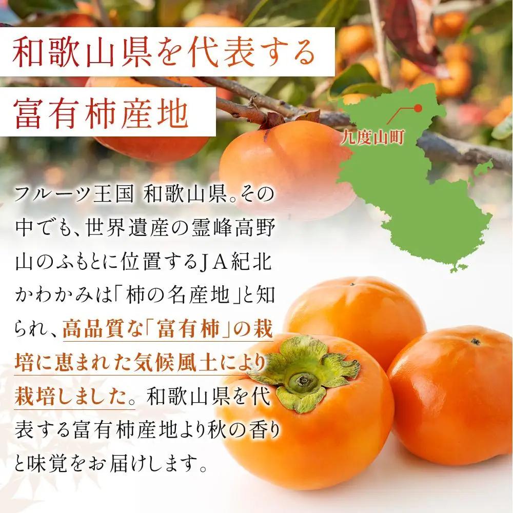 和歌山県産 訳あり 富有柿 7.5kg L ~ 2L 柿 【11月中旬～発送】