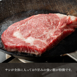 宮崎牛 ロース ステーキ 2枚 500g【肉 牛肉 牛 国産 宮崎県産 牛 宮崎牛 黒毛和牛 牛 和牛 ステーキ BBQ 4等級  A4ランク ロース  E11106】