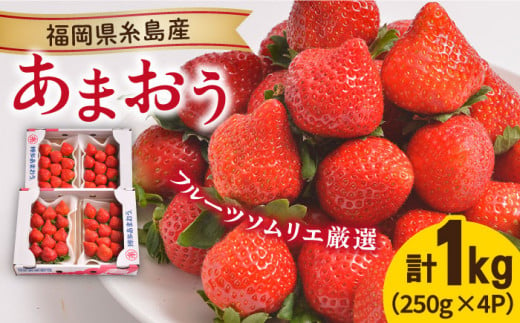 【先行予約】糸島産【冬】 あまおう 4パック   【2024年12月上旬以降順次発送】《糸島》【南国フルーツ株式会社】 [AIK006]