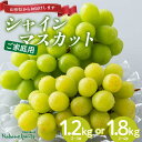 【ふるさと納税】【仲野観光果樹園】≪2025年先行予約≫家庭用 山形県産 シャインマスカット 【選べる容量 約1.2kg（2～3房）／約1.8kg（2～4 房）】 2025年9月上旬から順次発送 F2Y-6144var