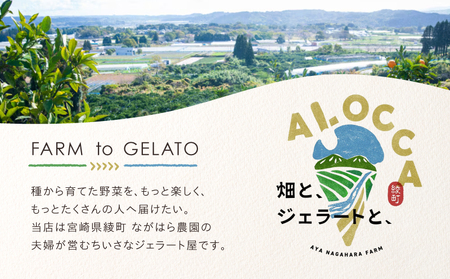 日時指定可能◎オーガニックタウン綾町から届く、季節のクラフトジェラート〈８個セット〉