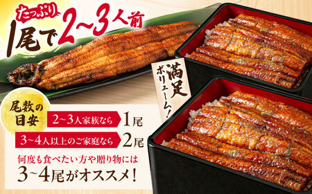 【 蒲焼き 】国産活うなぎ3尾[AQDF008] 蒲焼き