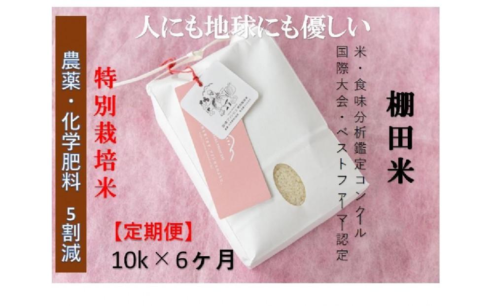 【令和8年産先行予約】【6ヶ月定期便】【農薬化学肥料5割減】魚沼コシヒカリ 苗場プリンセス 特別栽培米 精米 10kg（5kg×2袋）計60kg127523-008