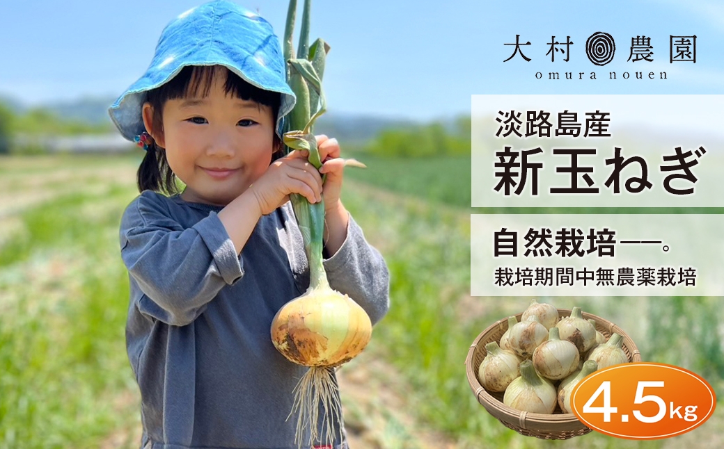 
                  新玉ねぎ 自然栽培 4.5kg （栽培期間中無農薬栽培） 玉ねぎ 産地直送 タマネギ 甘い 玉葱 旬 玉ねぎ野菜 オニオン
                