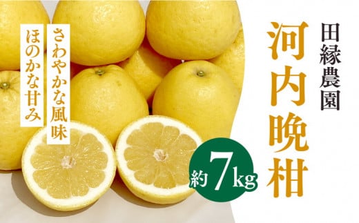 田縁農園の河内晩柑約7kg※着日指定不可※離島への配送不可※2024年7月上旬頃より順次発送予定