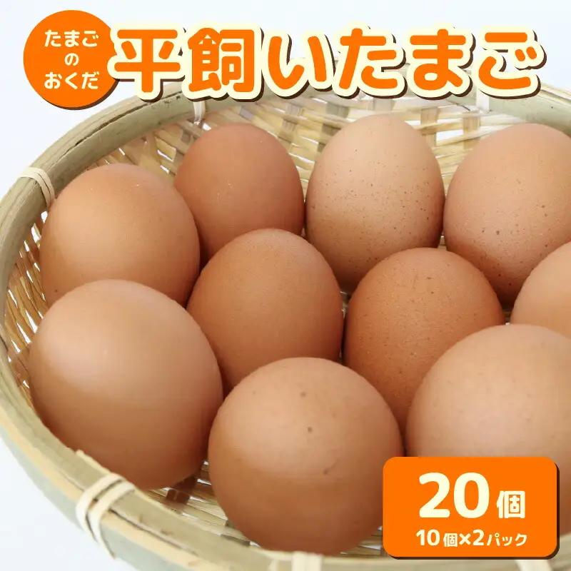 平飼いたまご 20個入り (10個×2パック) 自然由来飼料 たまご 高知県 南国市