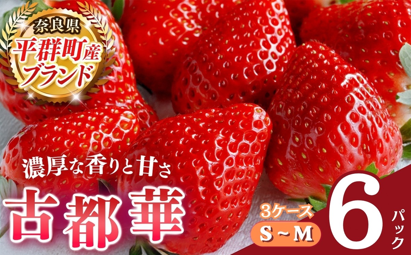 
                   いちご 平群の古都華 S～Mサイズ （2パック×3ケース）計6パック 阪野農園 | 先行予約 フルーツ 果物 くだもの ブランド いちご 苺 古都華 ことか 甘い 大人気 満足 希少 希少品種 ストロベリー 美味しい 品種 特徴 糖度 3月 4月 発送 旬 送料無料 濃厚 香り 果汁 味わい深い お取り寄せ 産地直送 農家直送 名産地 奈良県 平群 町
                