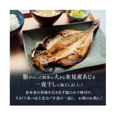 ふるさと納税 氷見市 氷見産あじ開き 2枚 約30センチ!富山湾海の幸 (冷凍) |  | 01