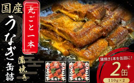 うなぎ蒲焼き丸ごと一本缶詰（2本セット） うなぎ缶詰 備蓄 防災食 非常食 ／Esu-123