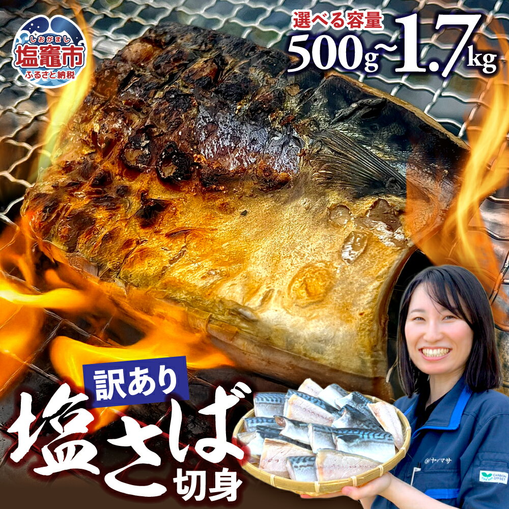 【ふるさと納税】 訳あり 鯖 塩さば 無添加 選べる 1.7kg～500g 深層海塩仕込み 冷凍 訳アリ 規格外 不揃い サバ さば 切り身 切身 おかず 焼き魚 こだわり 海塩 塩竈市 塩釜 ヤママサ