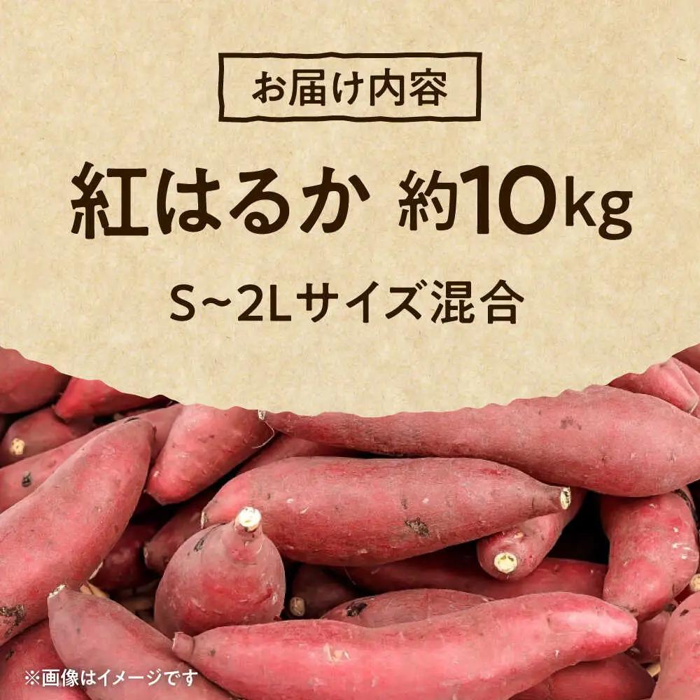 紅はるか さつまいも 秀品 約10kg S?2Lサイズ混合 さつまいも[AYAT005]