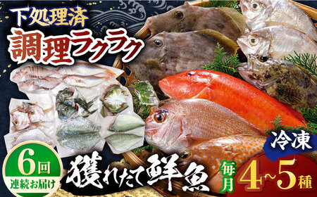 【全6回定期便】【平戸市場直送】旬の獲れたて鮮魚（冷凍）＜4-5種類＞ 平戸市 / ひらど新鮮市場[KAB229]