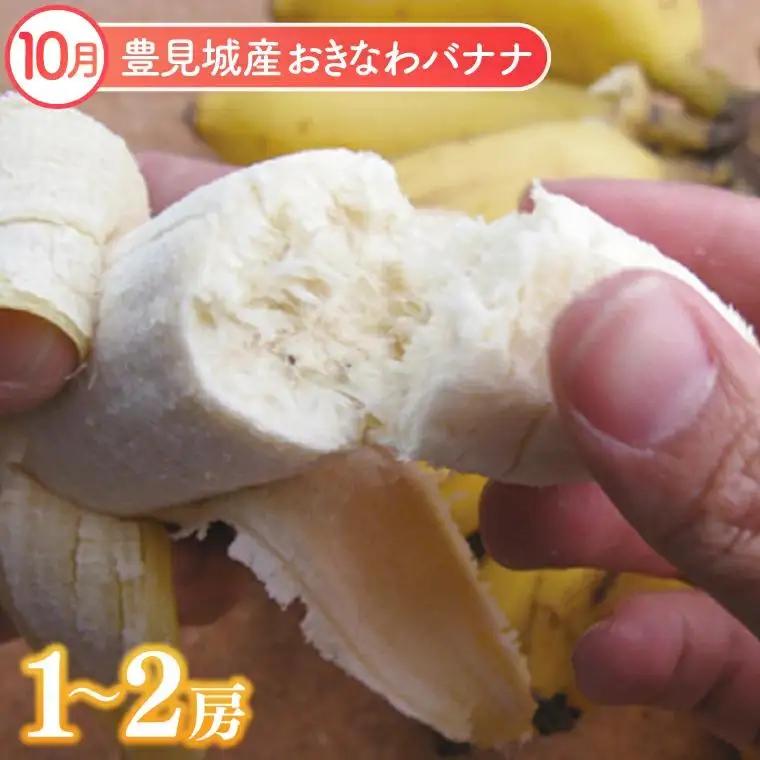 【2026年9月より順次発送】【全3回】沖縄フルーツ定期便（9・10・11月コース） (AC018)