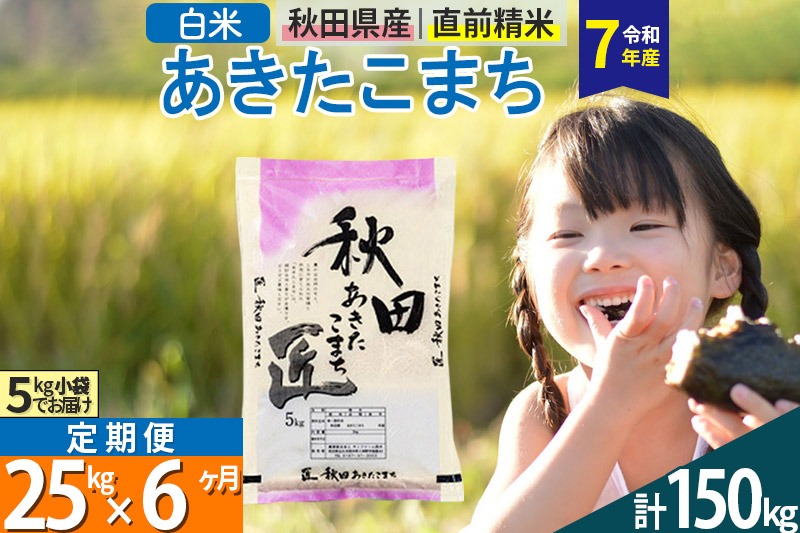 【白米】＜令和7年産＞ 《定期便6ヶ月》秋田県産 あきたこまち 匠 25kg (5kg×5袋)×6回 25キロ お米 |02_snk-010906s