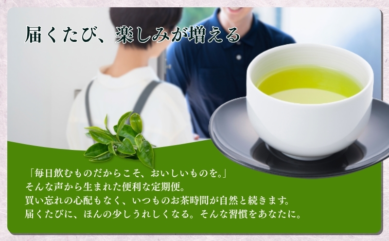 お茶 定期便 6回 静岡 おすすめ上煎茶を2か月に一回お届け 緑茶 茶葉 お茶巡りの旅 上煎茶 煎茶 一番茶 深蒸し茶 深蒸し 茶 静岡茶 日本茶 お茶の葉 飲料 飲み物 ドリンク ギフト プレゼント