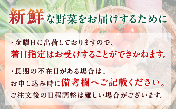 【全3回隔週定期便】有機野菜 8種セット 詰め合わせ 熊本県産 山都町産 産地直送 オーガニック【株式会社 肥後やまと】[YAF010]