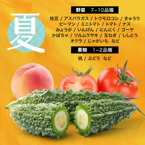＜先行予約＞伊達なお野菜とフルーツの詰め合わせ（夏） F20C-495