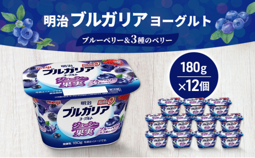 ヨーグルト 明治ブルガリアヨーグルト脂肪0 ジューシー果実 ブルーベリー&3種のベリー（180g×12個） 乳製品 乳酸菌 脂肪0 果汁 果肉 ブルーベリー ベリー 食べ切り 茅ヶ崎市 神奈川県