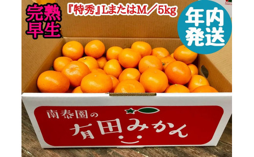
                  年内発送 完熟早生 有田みかん 特秀 L または M サイズ 5kg 和歌山 南泰園 みかん
                