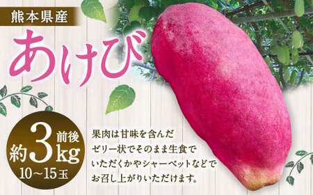 熊本県産 あけび 約3キロ前後 【2026年10月上旬発送開始】 フルーツ 果物 くだもの アケビ 熊本県 国産