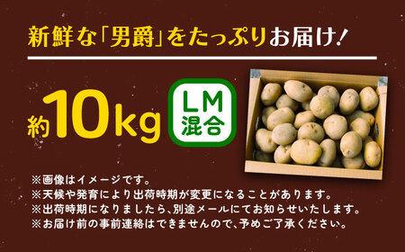 北海道産 じゃがいも 男爵 10kg（LM混合）じゃがいも じゃがいも じゃがいも[BEAA006]