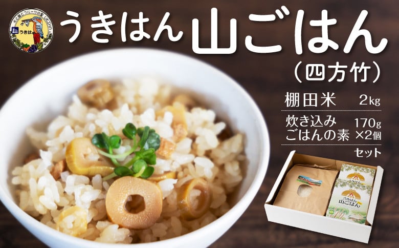 
道の駅うきは うきはん 山ごはん (四方竹) (棚田米2kg・炊き込みごはんの素170g×2個) セット
