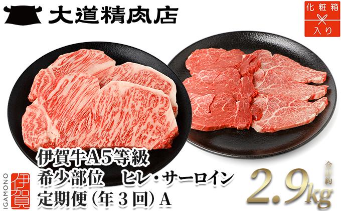 【年3回】伊賀牛 A5ヒレ・サーロイン 定期便A 総合計約2.9kg BE029