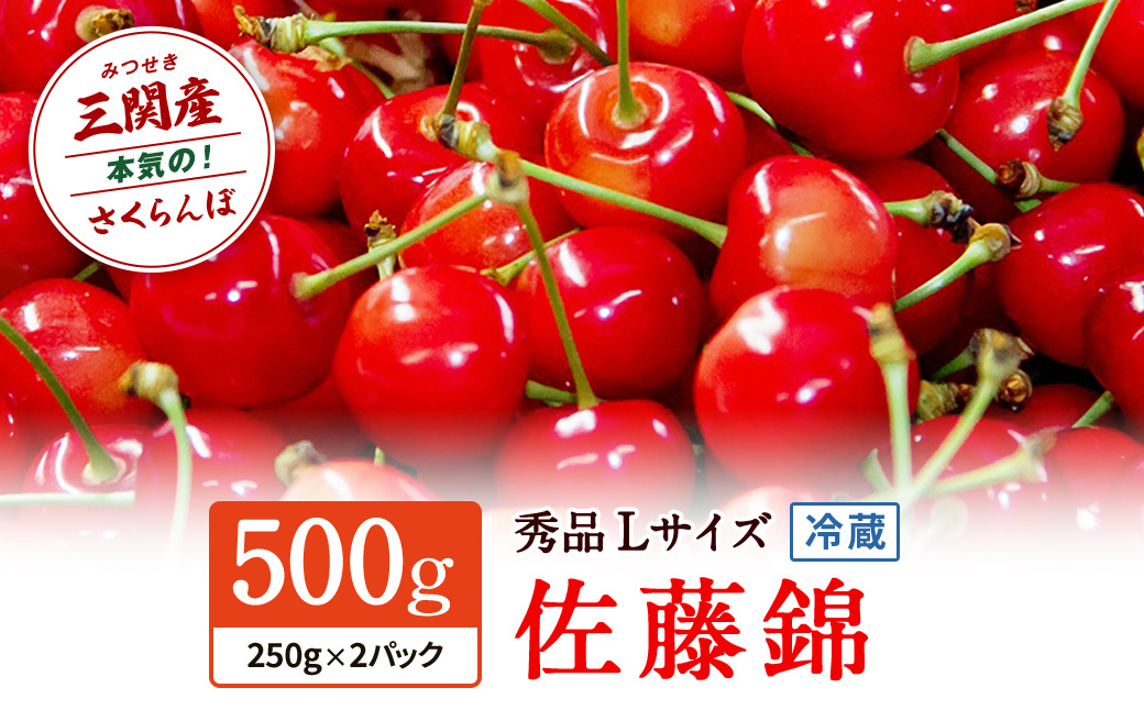 職人が本気で作ったこだわりのさくらんぼ！秋田県三関（みつせき）産【令和8年産先行予約】 さくらんぼ 佐藤錦 秀品 Lサイズ (250g×2P) 冷蔵 朝採れ 産地直送 【6月中旬から発送開始予定】 ふるさと納税 さくらんぼ 果物 [B4-3201]