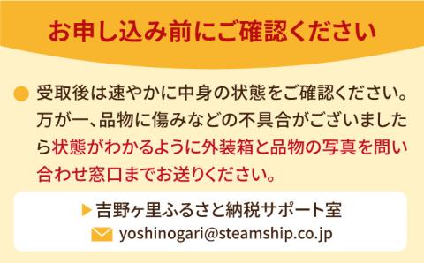 【1月より配送・やさしい味わい】いちごさん 平パック 4P 約1kg 吉野ヶ里町/リエンサーク [FCC003]