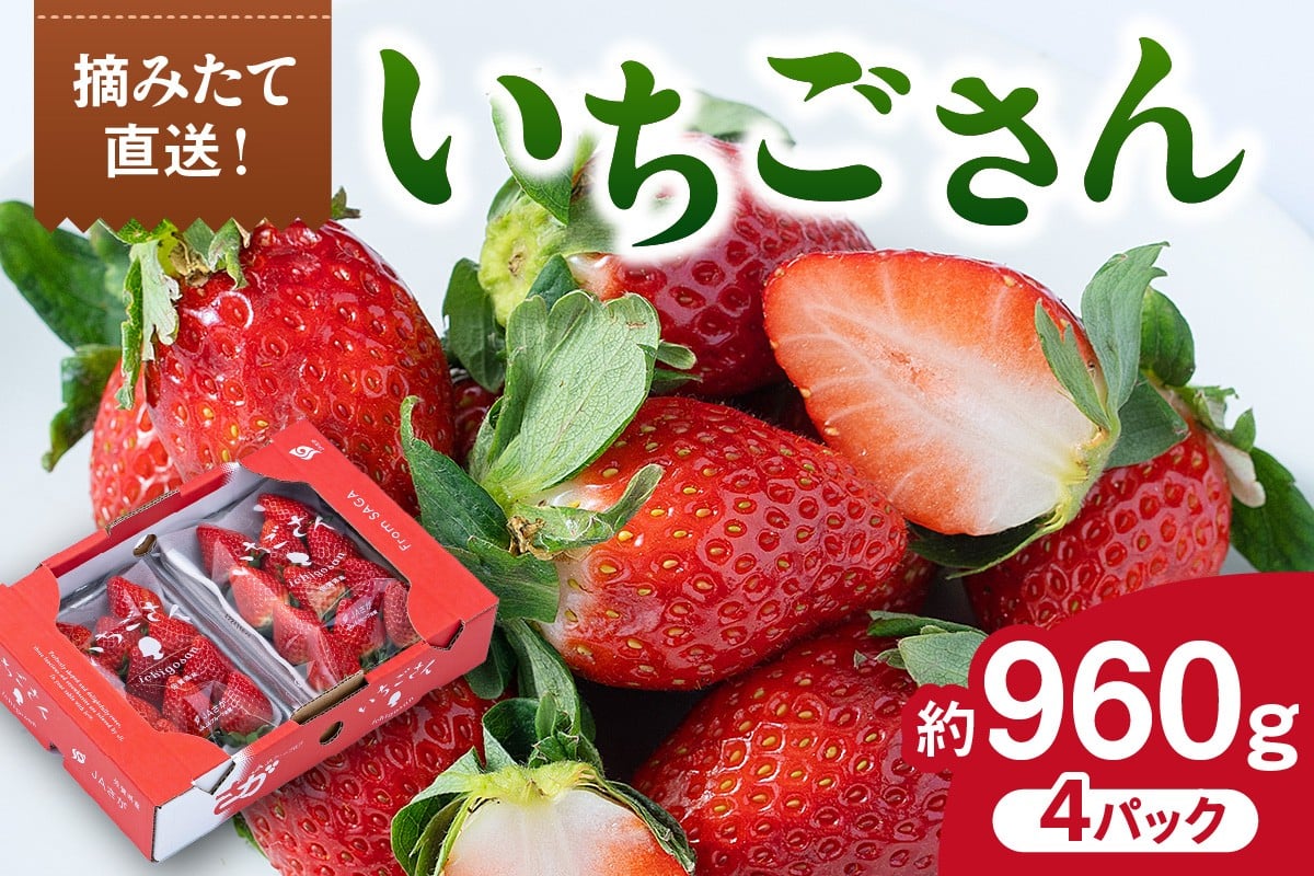 
            佐賀産 いちごさん 4パック 147-B811
          