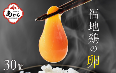 濃厚で甘くておいしい！ 福井ブランド「福地鶏」の卵 30個 ／ 卵 たまご 鶏卵 生卵 有精卵 高級 高級卵 福地鶏 鶏 平飼い 美味しい こだわり 卵かけご飯 料理 あわら市 福井県産 [aw036-a001]